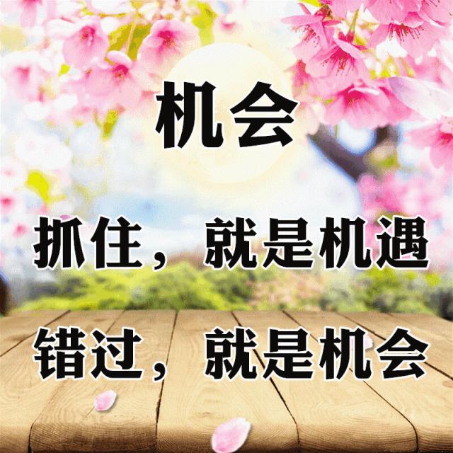 10张会动的照片,11张会动的图片