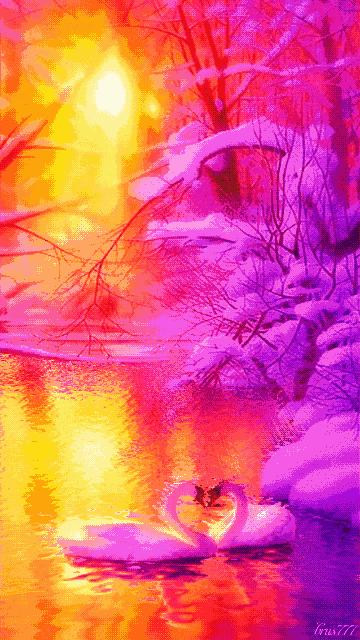 10张会动的照片,11张会动的图片