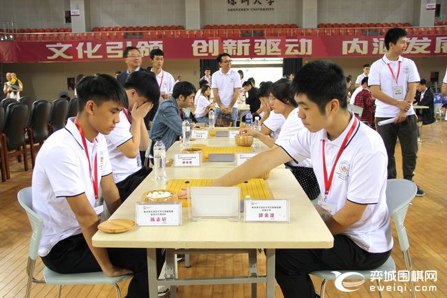 大湾区青少年围棋大赛,粤港澳大湾区围棋联赛