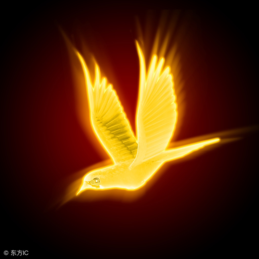 所有的问题都是内心的冲突，精神分裂到底需要不需要心理咨询