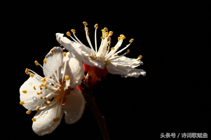 南怀瑾一切修行皆在修心,南怀瑾人生哲理经典语录