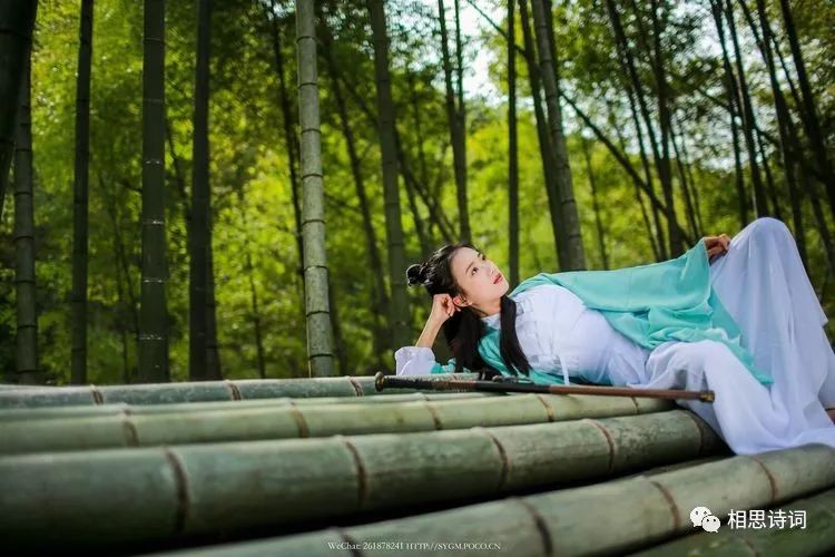 飃霗诗词|懒问曾经记起无,曾经记起又何如