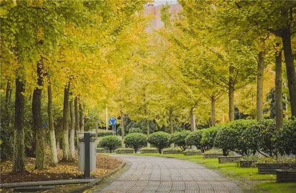 不要去杭州,杭州西湖值得去的地方