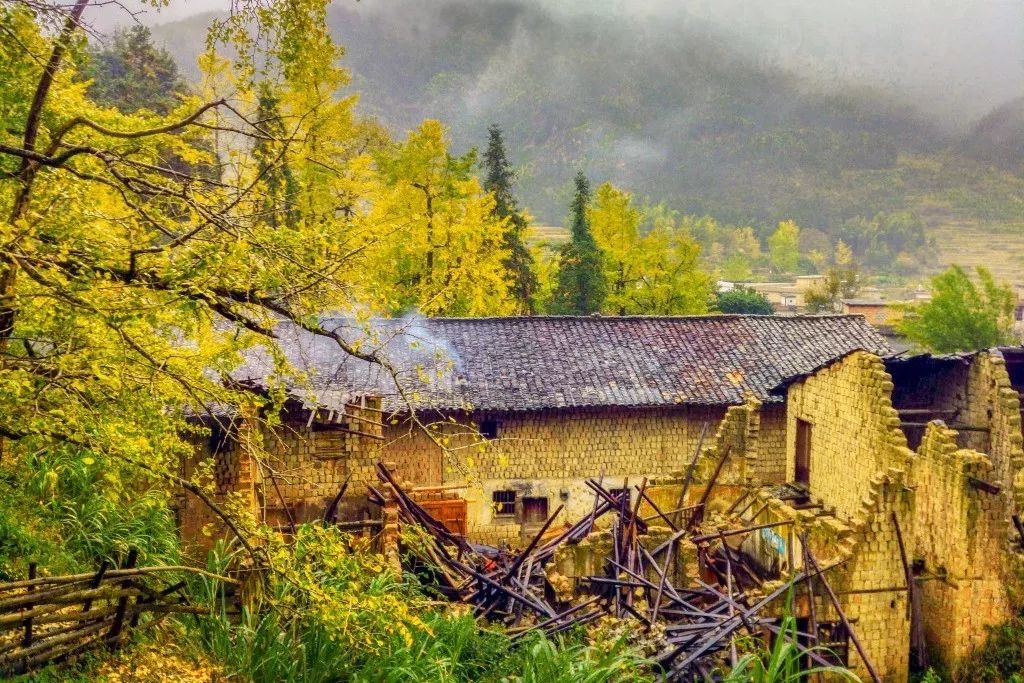 秋在广东很珍贵，若不细心寻找，它便静静地离开了