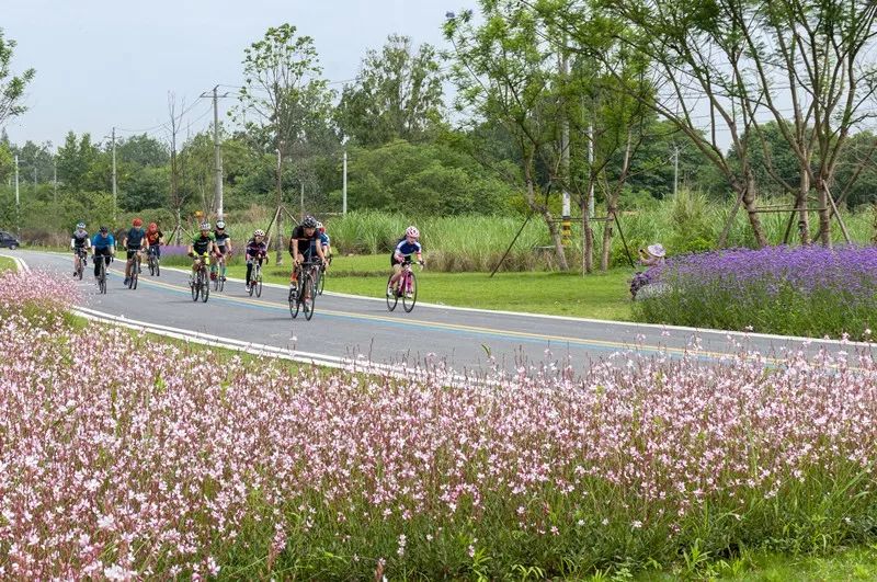 温江有什么魅力,温江人文底蕴深厚