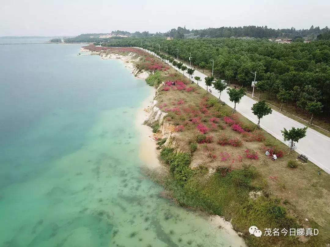 茂名露天矿环湖规划设想,茂名露天矿重大项目开工
