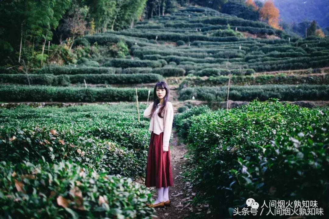 当我们在一起品茗谈心欣赏茶道时,有谁想过那些辛苦的采茶妹呢