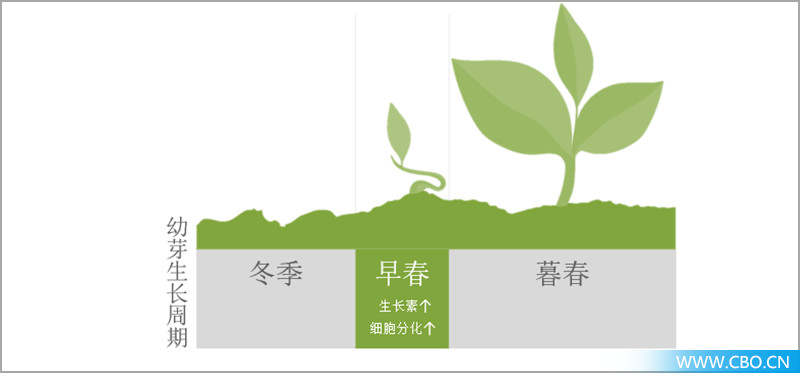 一叶子最新款的面膜,一叶子面膜补水保湿提亮去黄