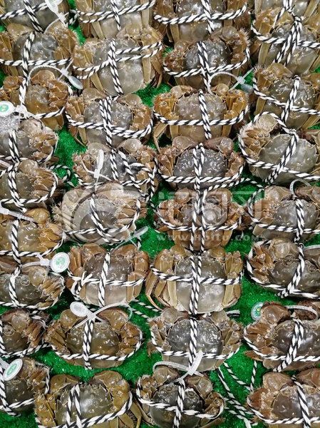 阳澄湖哪几家大闸蟹正宗,阳澄湖大闸蟹真的有那么多吗