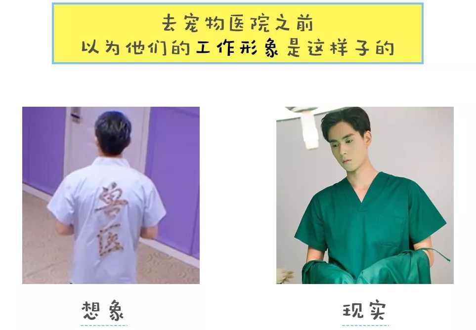 宠物皮肤病科普和治疗,宠物医生奇葩问题