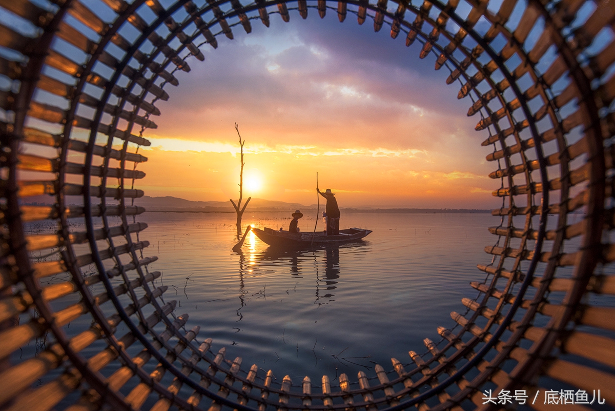 地图鱼的饲养方法与注意事项,地图鱼饲养注意事项大全