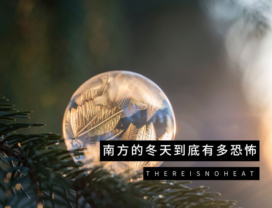 如何在广东的冬天里,笑着活下去