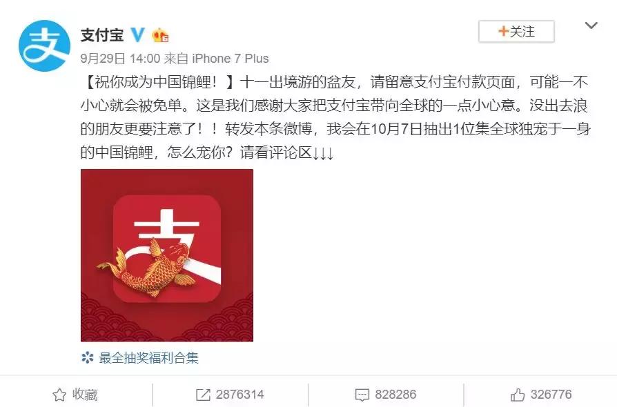 “锦鲤”信小呆的经历,中国锦鲤信小呆环游世界2年归来