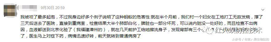 被红火蚁咬的治疗方法,被红火蚁咬后怎么处理偏方