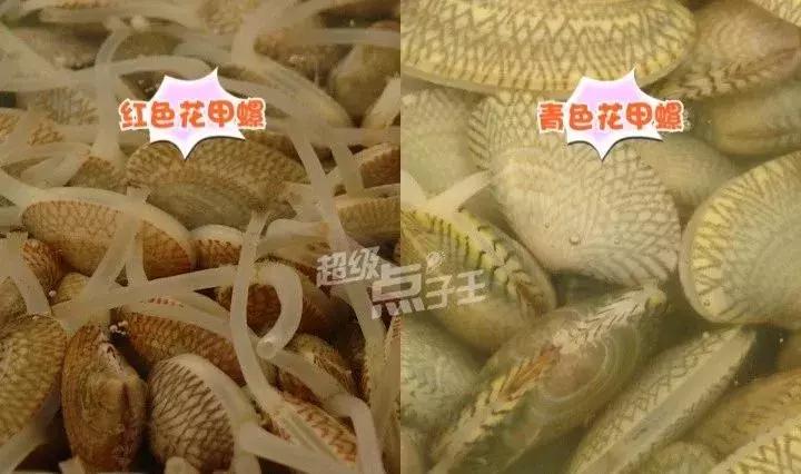 火遍大街小巷的花甲螺，一招教你轻松搞定！