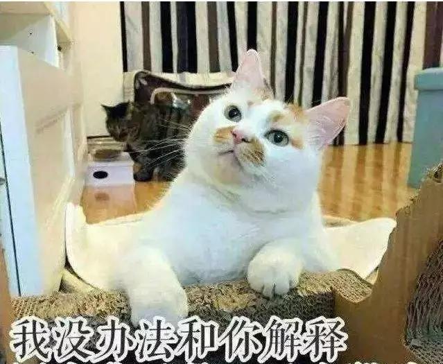 有些事只怪自己懂得太晚,有些事情能忍但有些事情绝不能忍