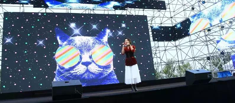 2018朴里嘉年华盛典暨成都社区乐跑赛完美落幕