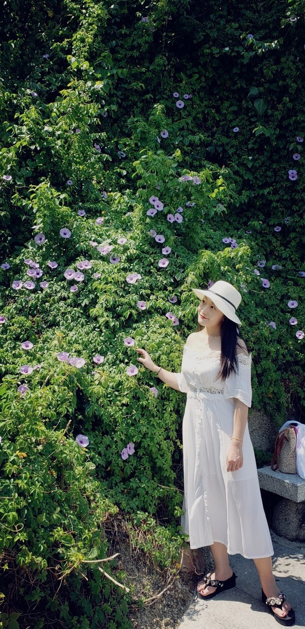 三亚独行攻略,三亚必去的景点和美食