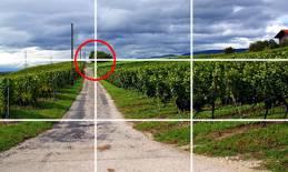 数码单反摄影教程,数码单反摄影进阶完全教程