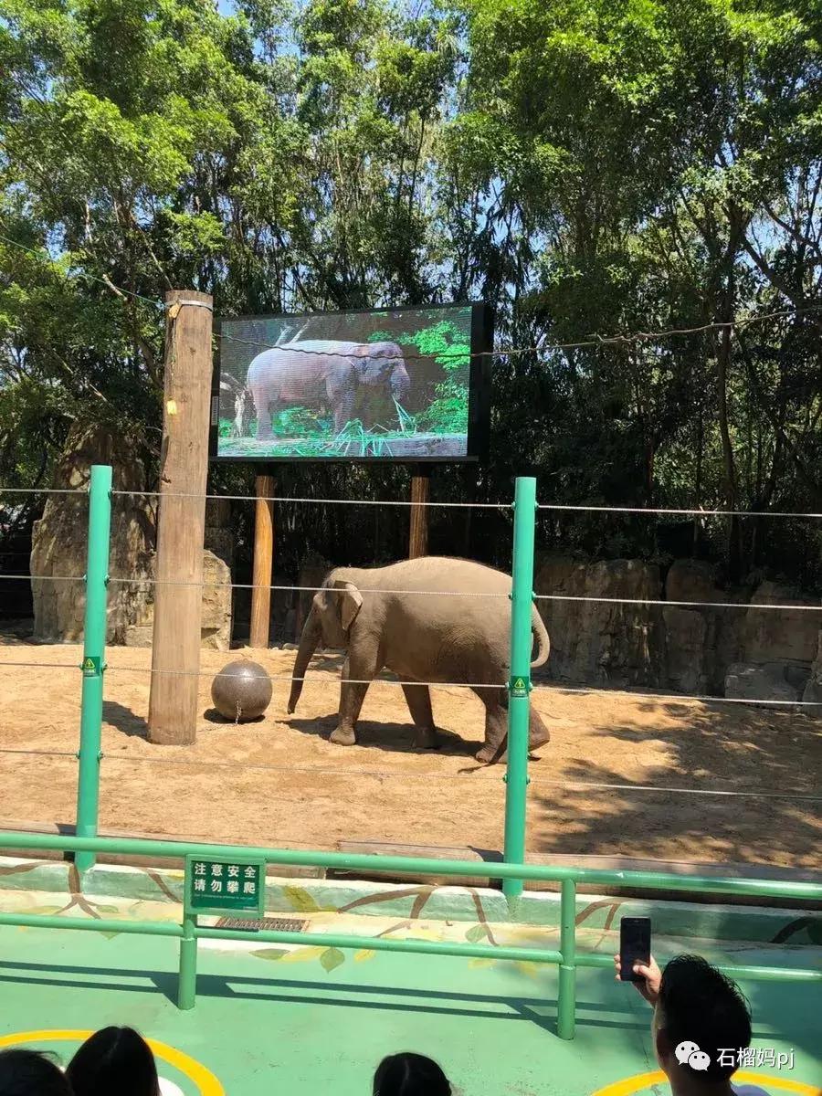 长隆欢乐世界和长隆野生动物园,广州长隆野生动物园侏罗纪公园