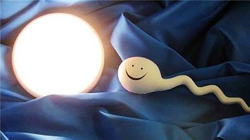 男女同房后，那些没成功进入“子宫”的精子去哪了？看完就明白了