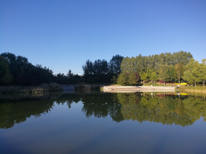 为什么管控海外代购,国家对海外代购的政策