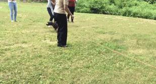 狗丢了一段时间自己回来什么征兆,三年不见的狗还会认识我吗