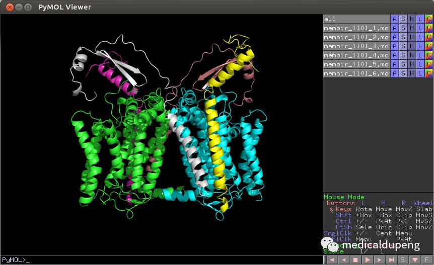 医学插画插图,医学插画sci
