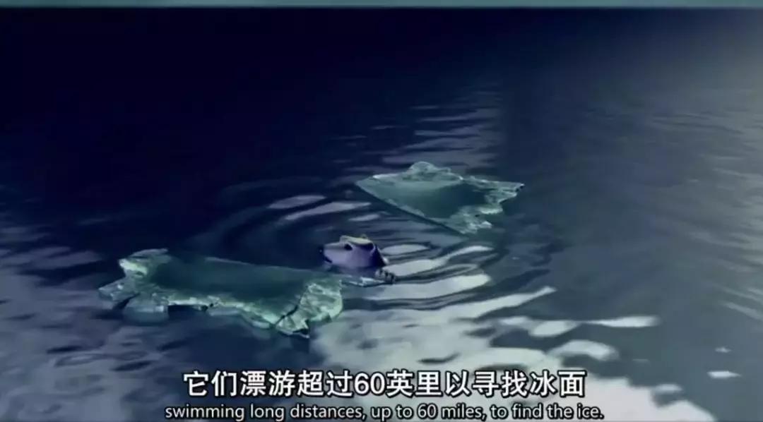 灾难纪录片真实事件,非常震撼的灾难片有哪些