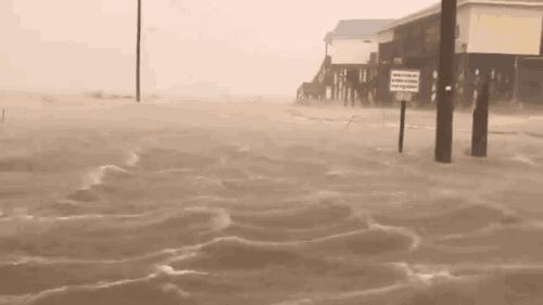 灾难纪录片真实事件,非常震撼的灾难片有哪些