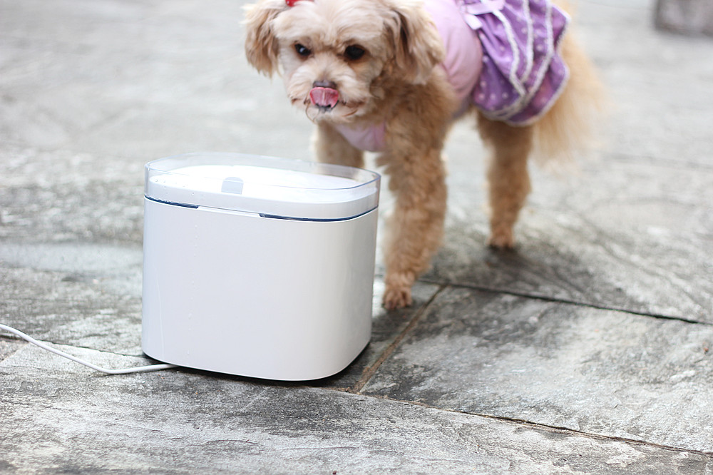 宠物饮水机大容量猫咪自动喂水器,宠物猫咪饮水机推荐
