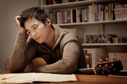 河智苑的韩国艺人,河智苑韩流