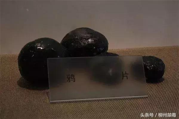 禁毒创示范柳州在行动,柳州禁毒创示范