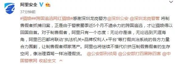 网红猫娘被骗真相,网红猫娘卖假被抓