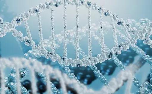 璁茬湡mcn,璁茬湡鐨勯瀹濆効