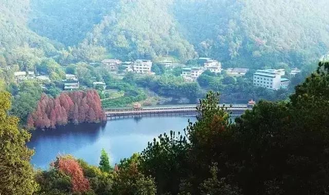乡村游秋天,乡村旅游探寻真实的乡土风情