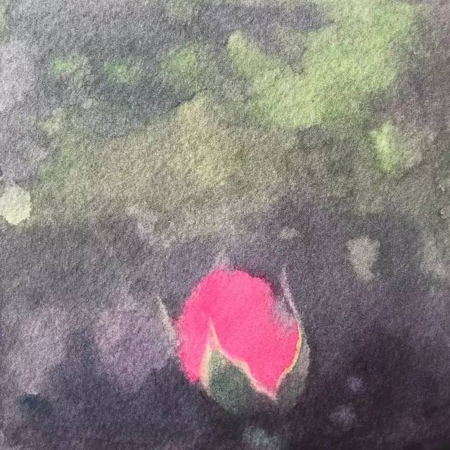 情人节用丙烯画画,情人节教我们画玫瑰