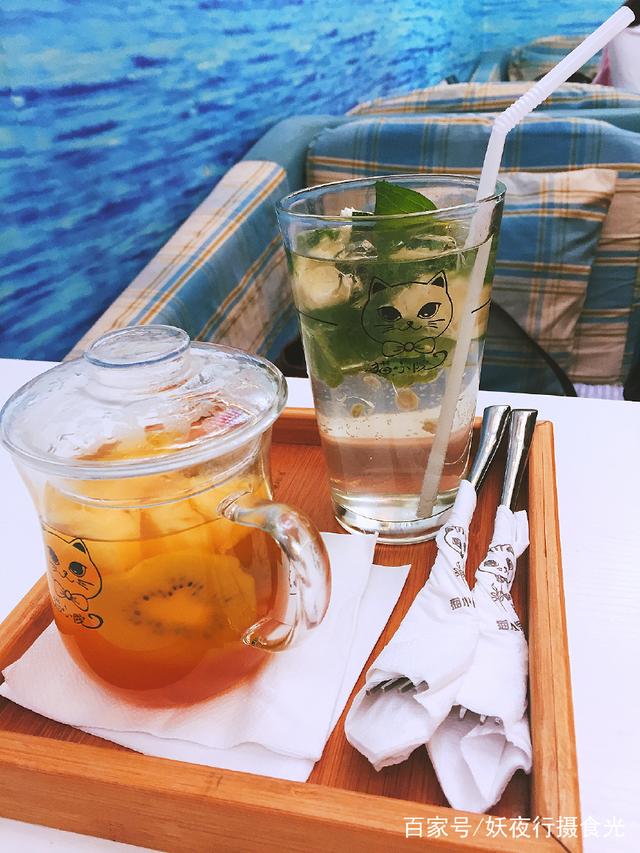 国内最好的猫咪咖啡厅,猫咪咖啡馆有几家