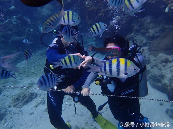 塞班岛自由行全攻略,带你上天下海游遍全球不是梦