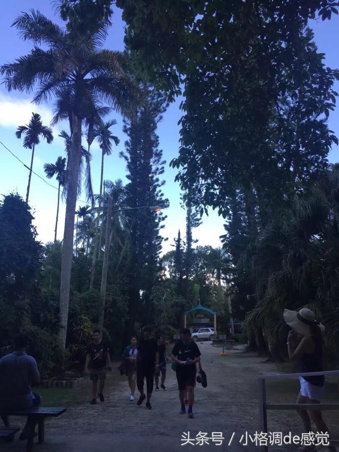 塞班岛自由行全攻略,带你上天下海游遍全球不是梦