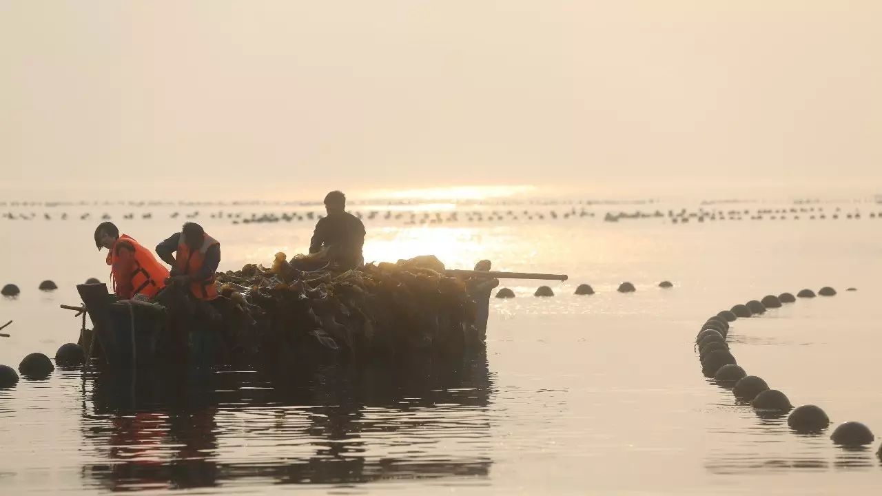芝罘岛秦始皇,长岛最原始的岛