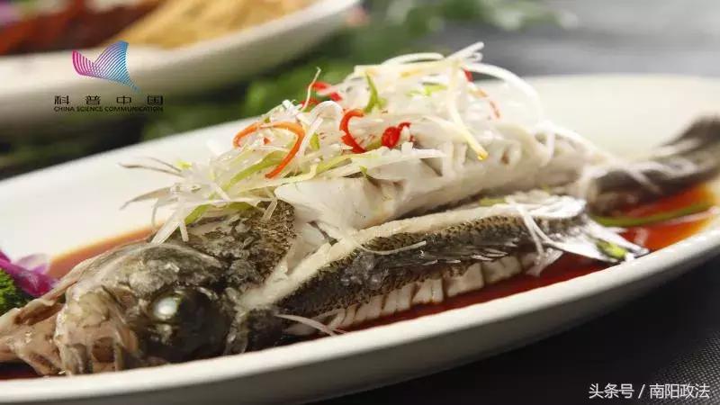 网传吃鱼能让人变聪明？终于找到提高智商的方法了……