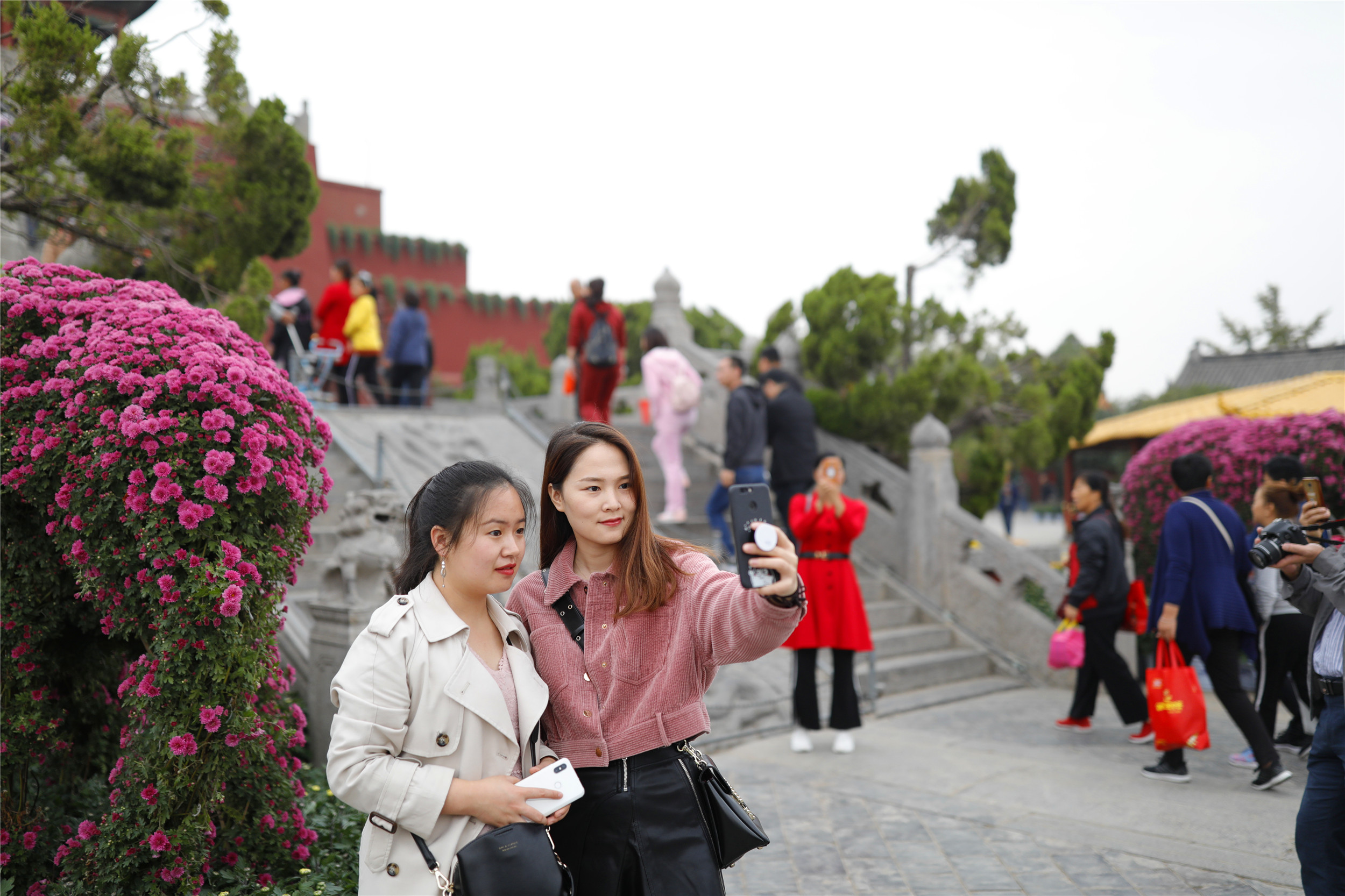 开封清明上河园龙亭两日游,自由行说走就走的旅行开封赏菊