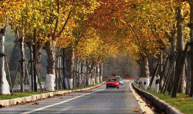 沪苏湖高铁上海到横店,沪苏湖高铁上海到安庆