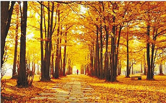 沪苏湖高铁上海到横店,沪苏湖高铁上海到安庆