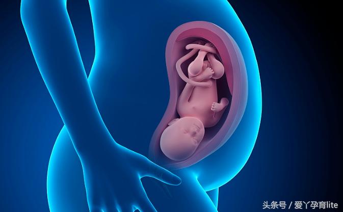 准妈妈孕十月养胎攻略