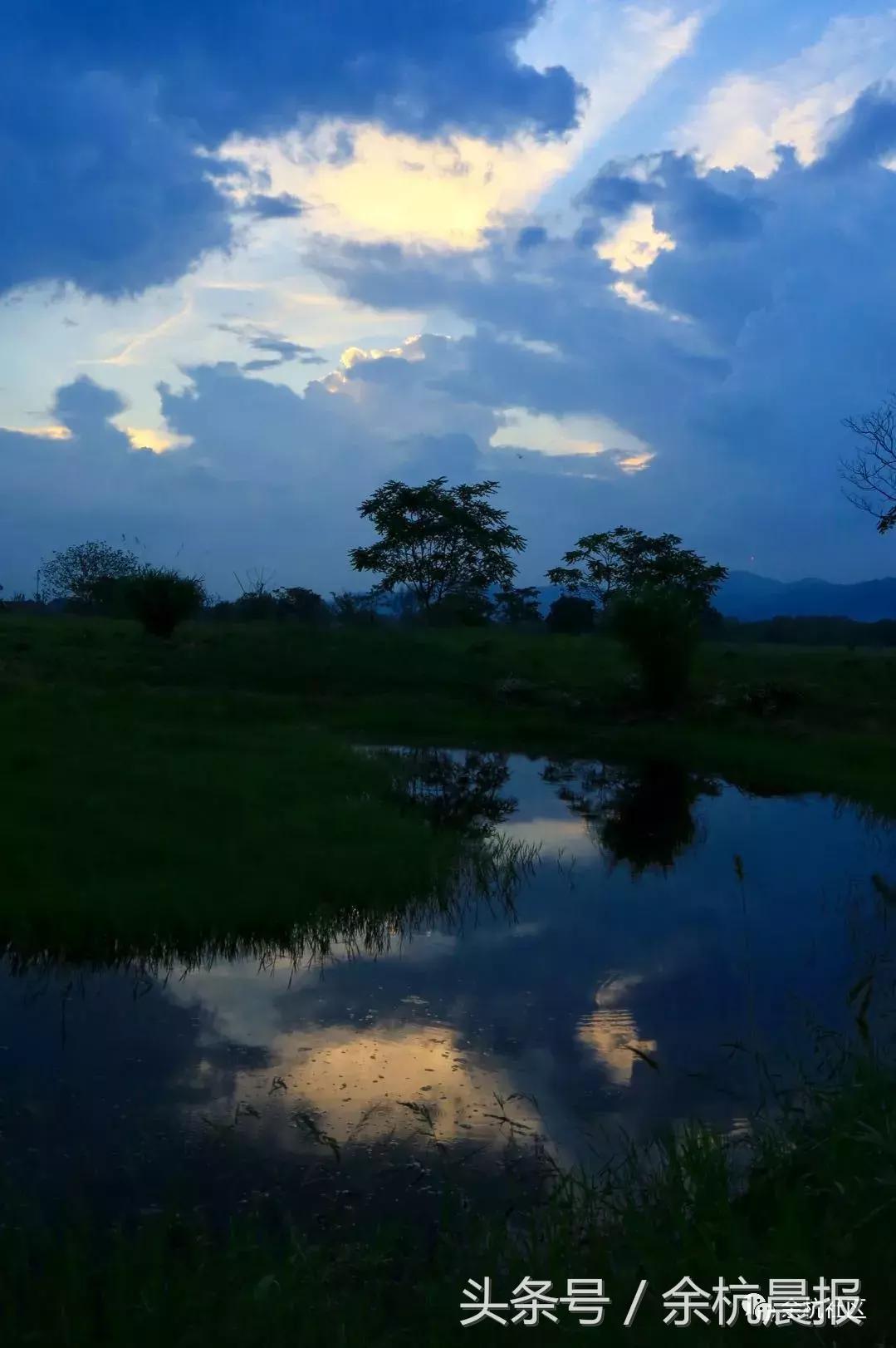 9090000㎡！余杭新增一大型公园，1299个足球场大！