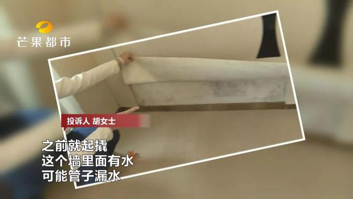 北辰定江洋毛坯房出售,北辰定江洋一线江景房200平毛坯