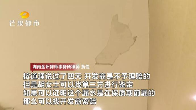 北辰定江洋毛坯房出售,北辰定江洋一线江景房200平毛坯