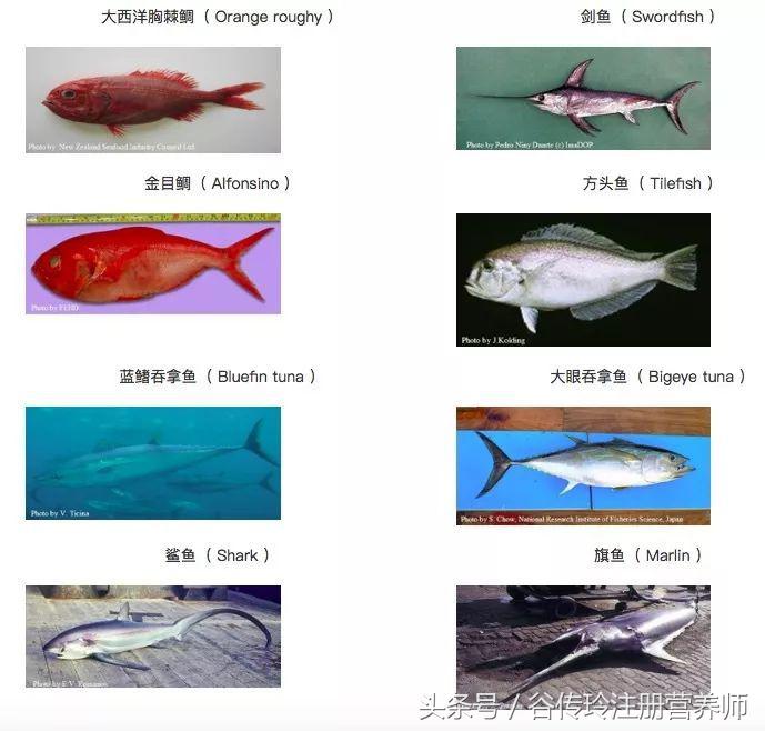 孕期高血糖饮食禁忌及食谱 (孕期第二月注意什么饮食禁忌)